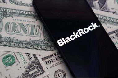 BlackRock US Dollar